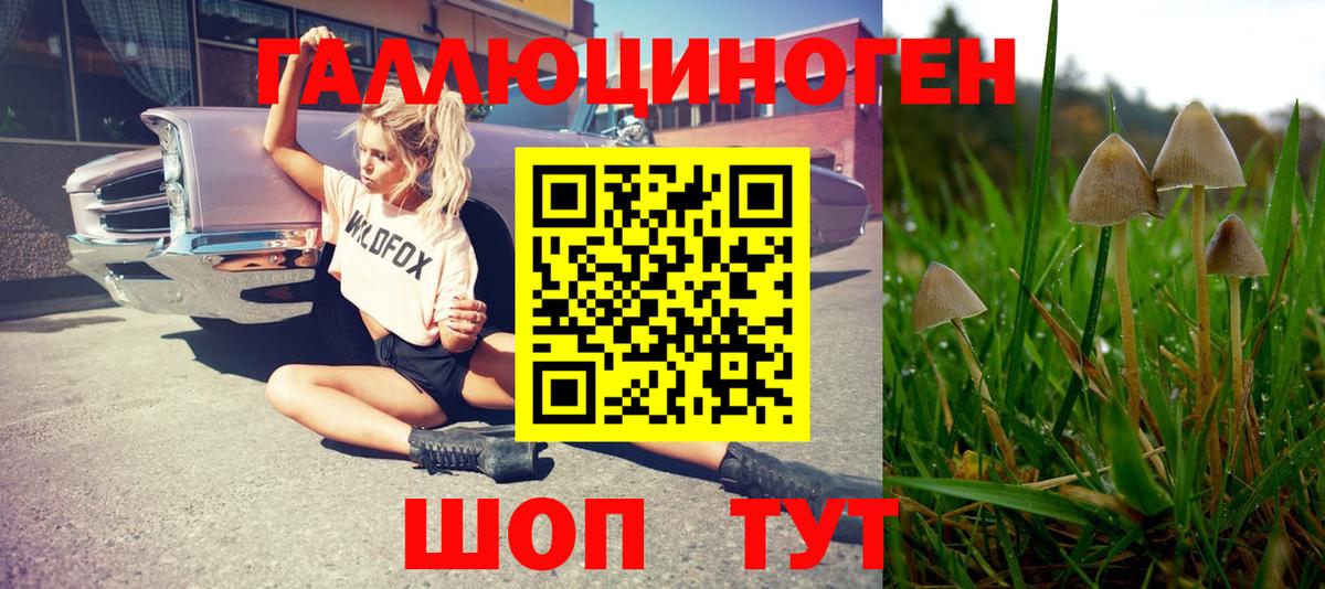 Галлюциногенные грибы MAGIC MUSHROOMS  Вход с VPN  Бор 